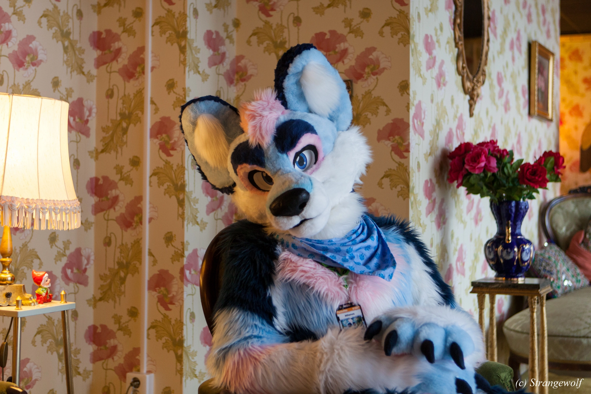 full image IMG_8432-lr19t.jpg