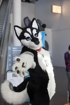 IMG_9492-lr19t.jpg of NFC/NFC2018/