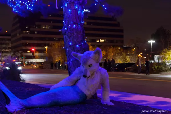 IMG_0774-lr16t.jpg of MFF/MFF2016/Photoshoot-Glitch_Merwusky/