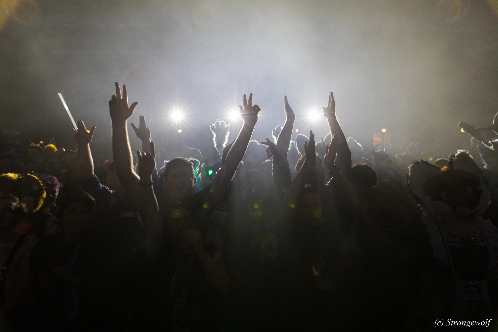 full image 1R3A5467-lr19t.jpg