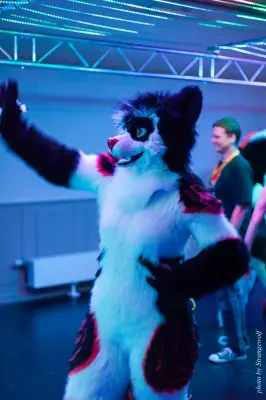 IMG_5398-lr16t.jpg of DFD/DFD2017/