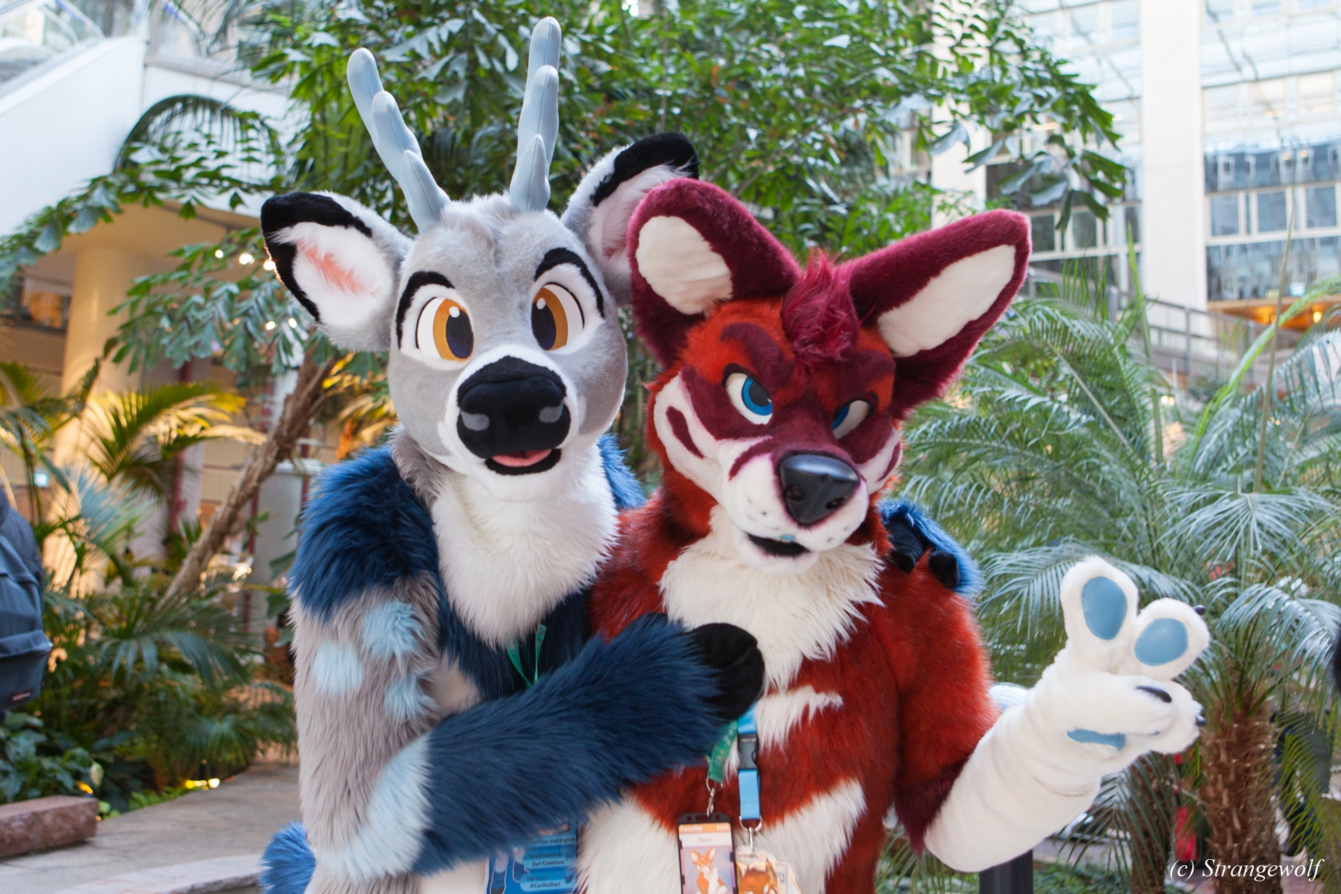 full image IMG_8716-lr19t.jpg