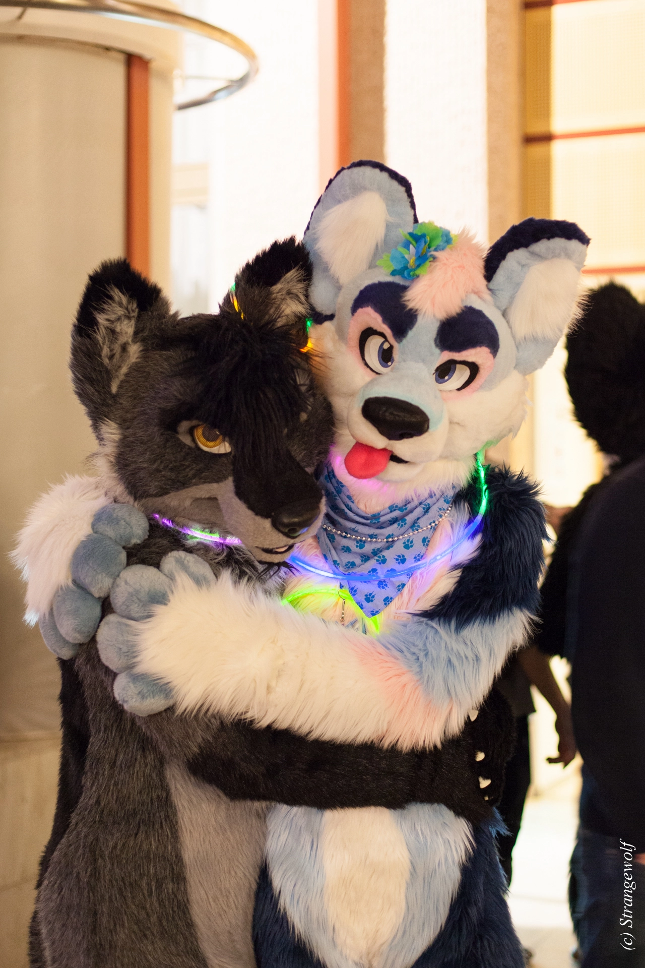 full image IMG_9843-lr19t.jpg