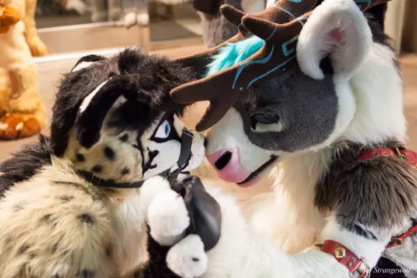 IMG_6867-lr19t.jpg of MFF/MFF2018/
