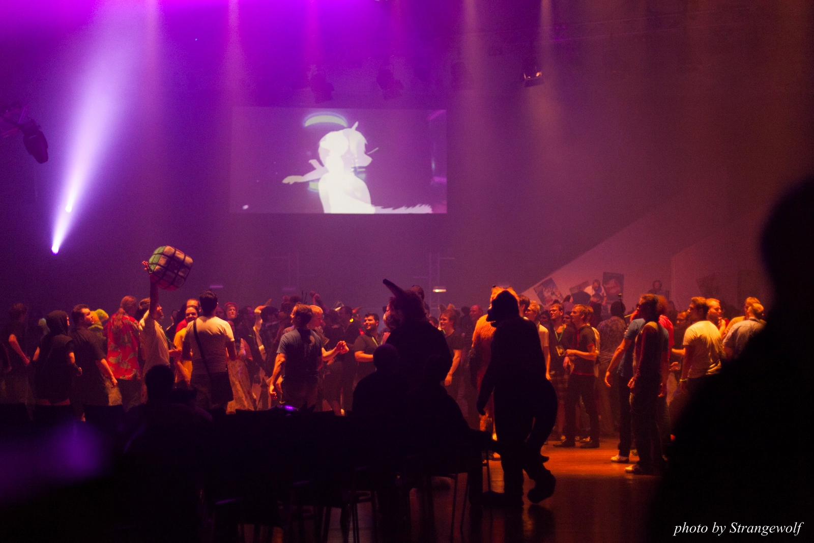full image IMG_1660-lr16t.jpg