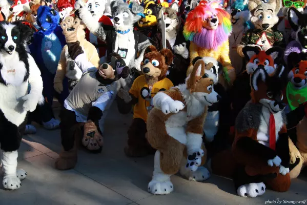 IMG_0660-lr.jpg of MFF/MFF2013/
