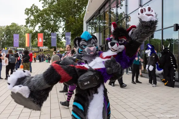 1R3A9125-lr19t.jpg of EF/EF29/