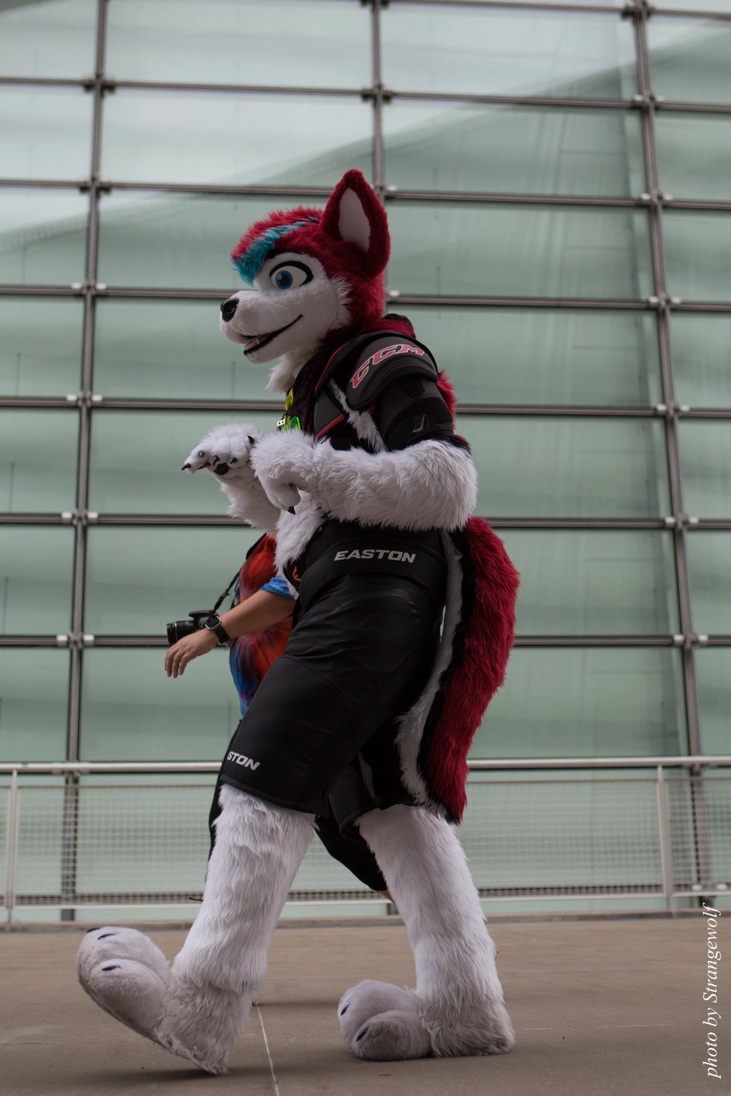 full image IMG_8215-lr16t.jpg