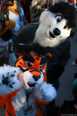 IMG_0687-lr.jpg of MFF/MFF2013/