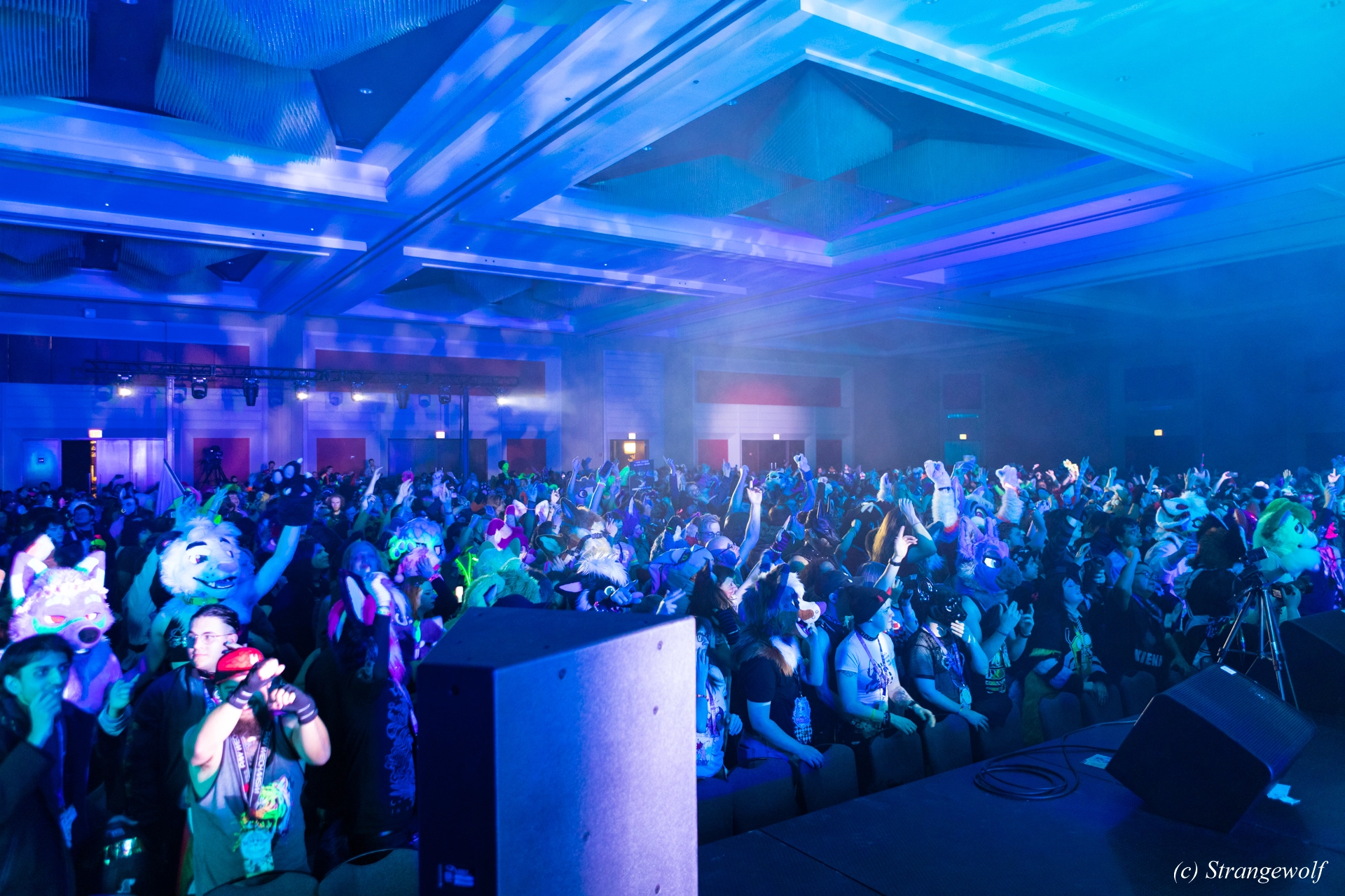 full image 1R3A5014-lr19t.jpg