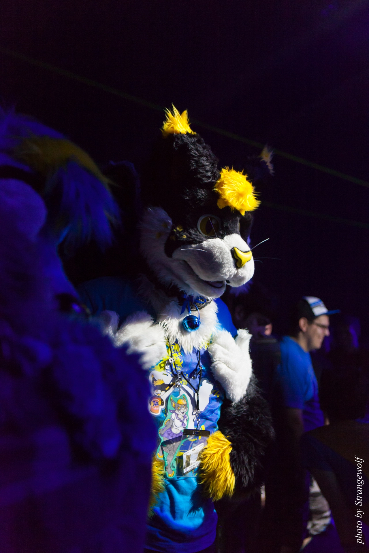 full image IMG_0184-lr19t.jpg