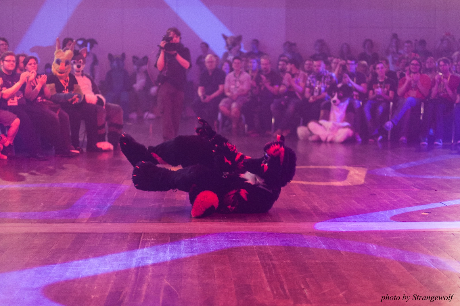 full image IMG_2650-lr16t.jpg