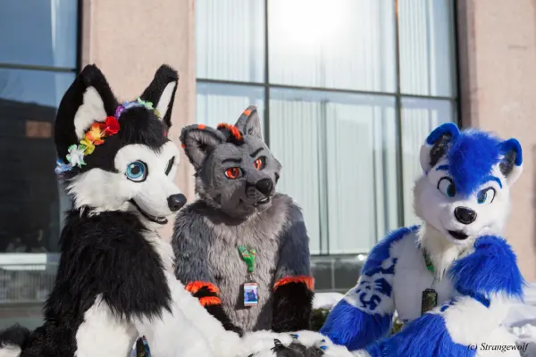 IMG_9663-lr19t.jpg of NFC/NFC2018/