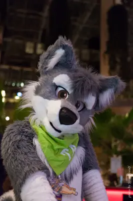 IMG_2473-lr16t.jpg of NFC/NFC2017/