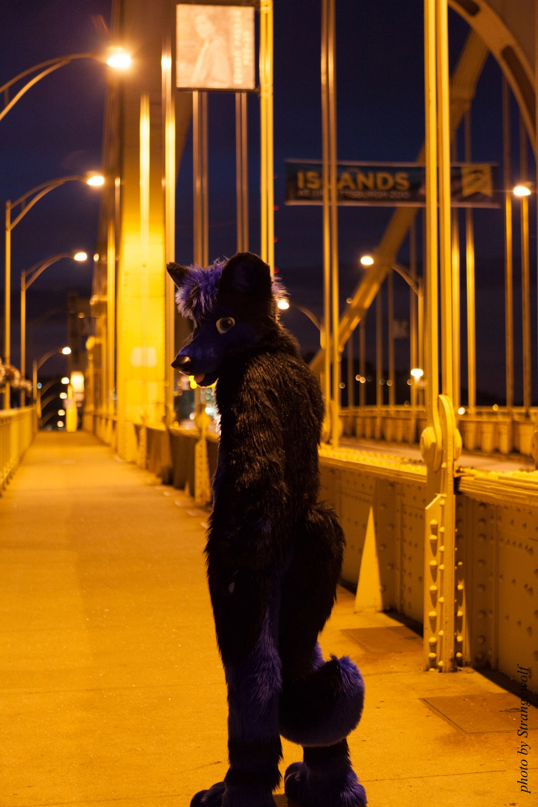 full image IMG_8465-lr16t.jpg