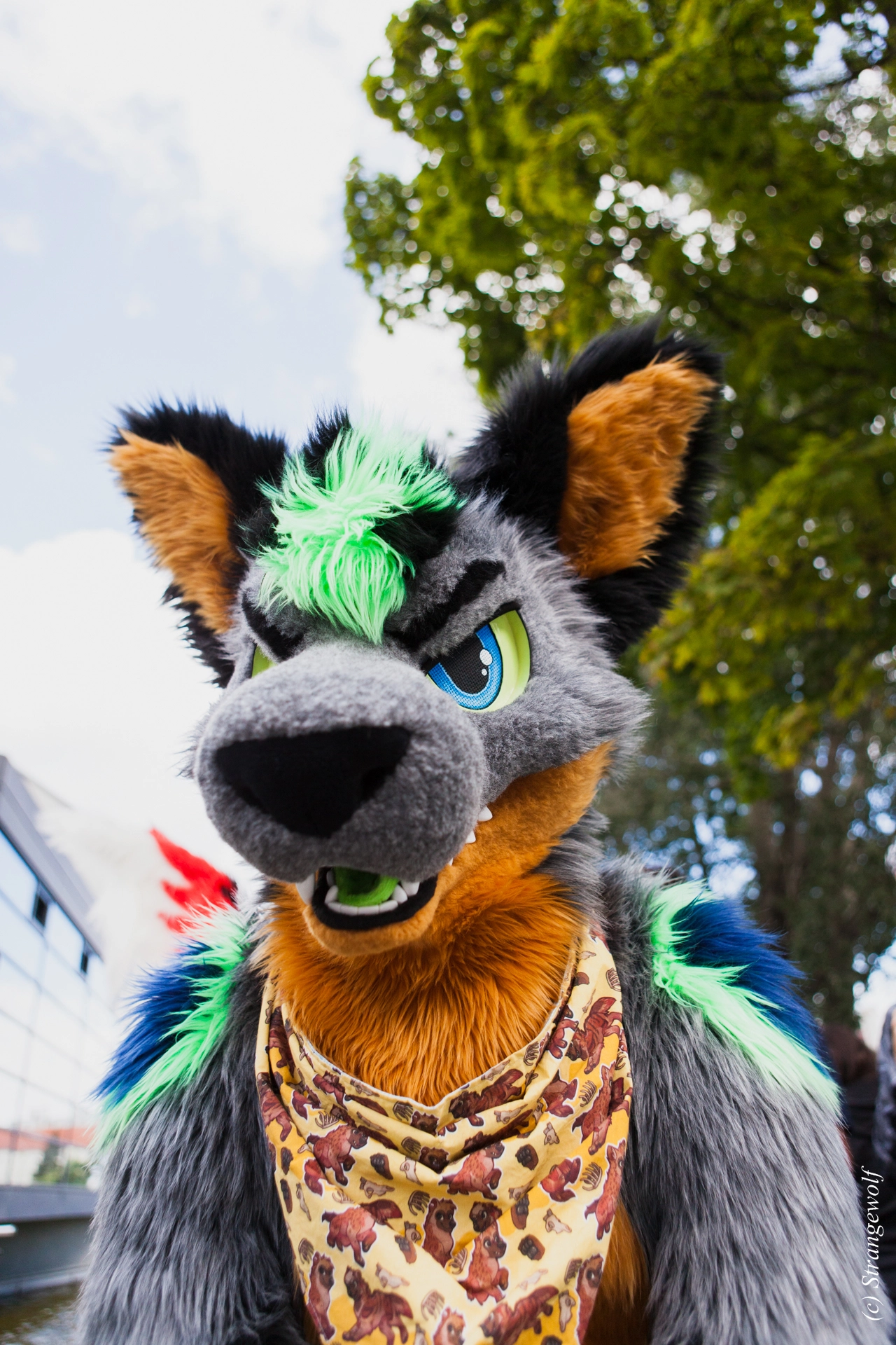 full image IMG_6969-lr19t.jpg