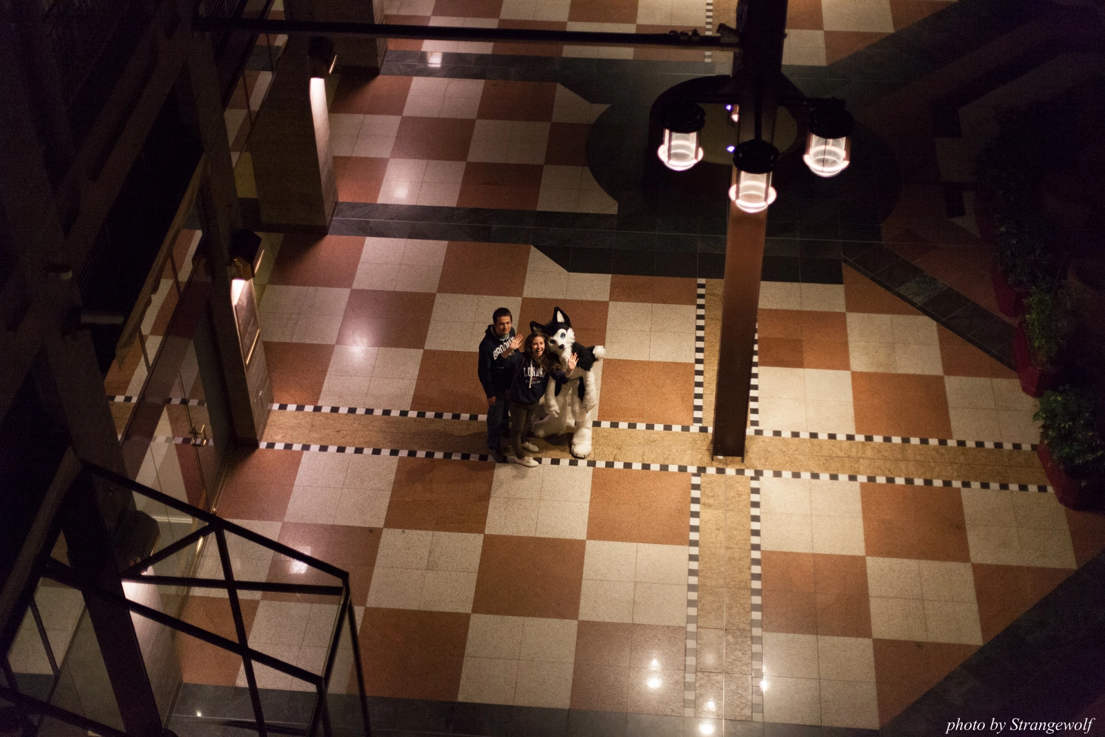 full image IMG_1284-lr16t.jpg