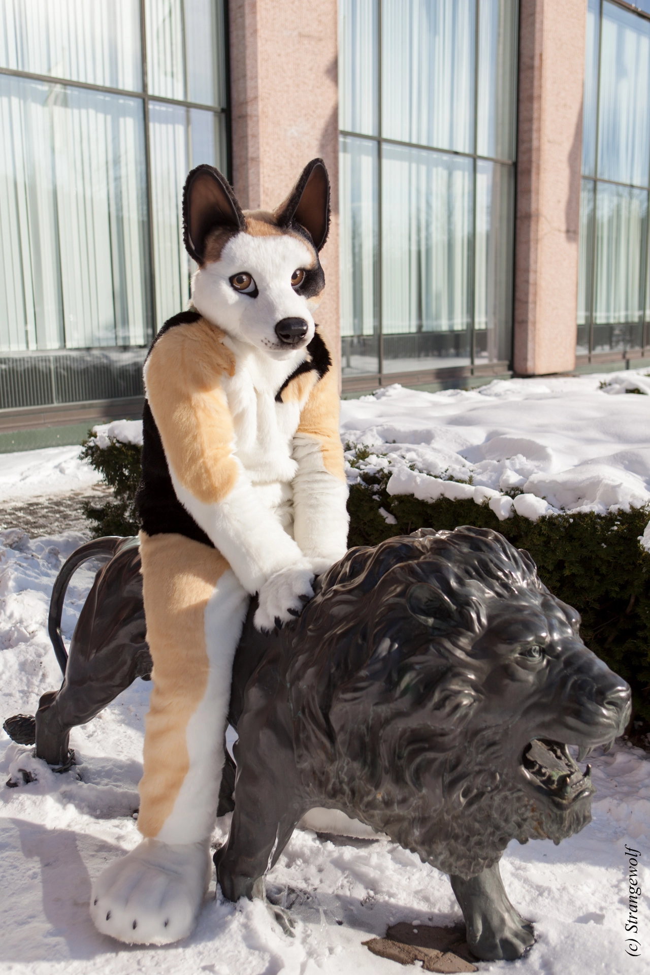 full image IMG_9557-lr19t.jpg