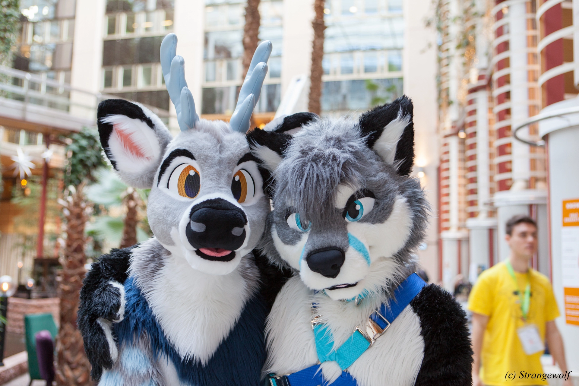 full image IMG_8699-lr19t.jpg