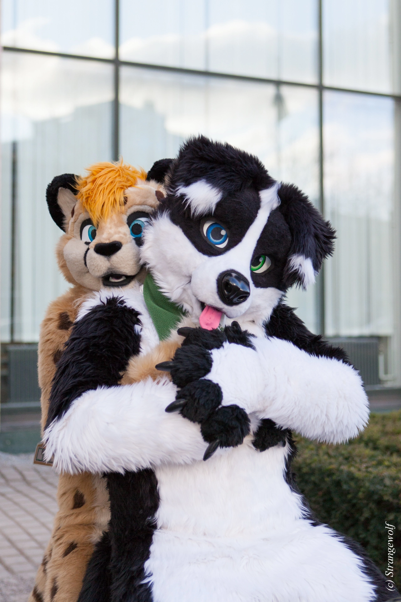 full image IMG_8809-lr19t.jpg