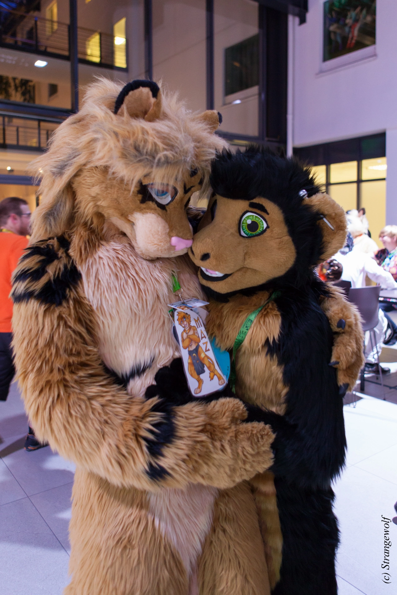 full image IMG_4881-lr19t.jpg