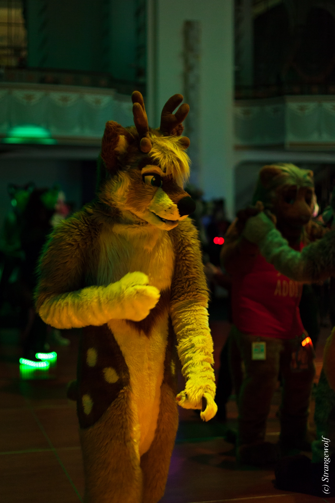 full image IMG_3064-lr19t.jpg