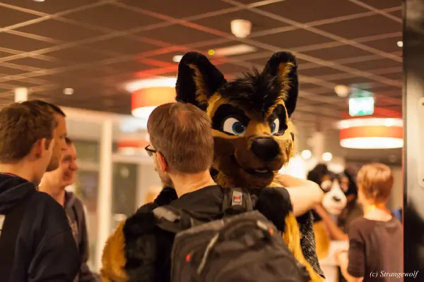 IMG_6443-lr19t.jpg of DFD/DFD2018/