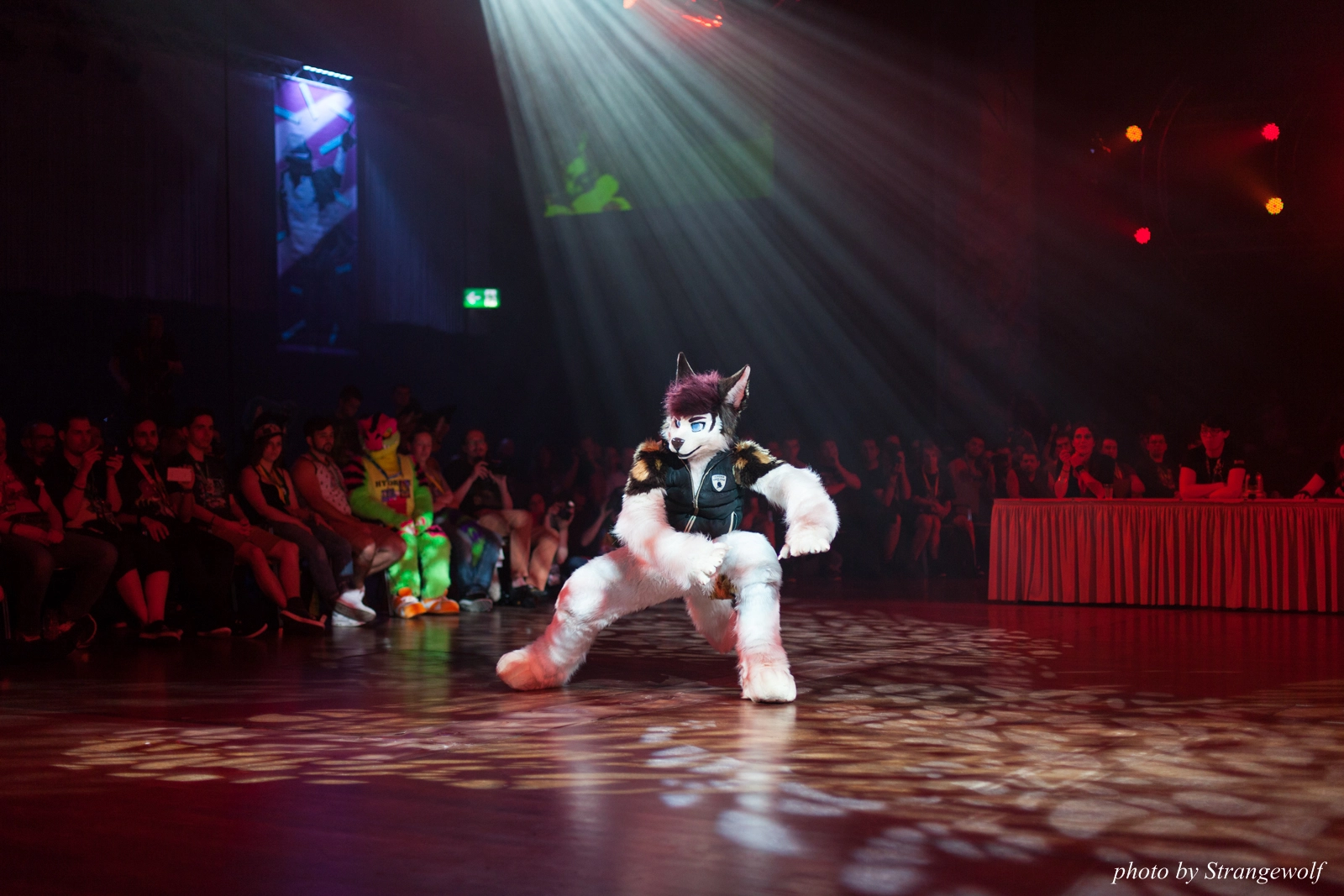 full image IMG_9392-lr16t.jpg