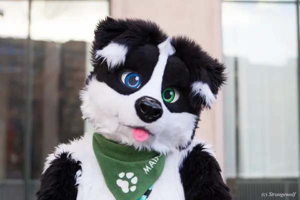 IMG_8823-lr19t.jpg of NFC/NFC2019/