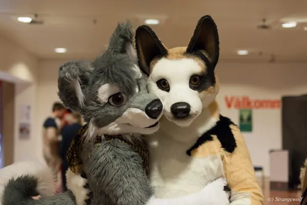 IMG_9117-lr19t.jpg of NFC/NFC2019/