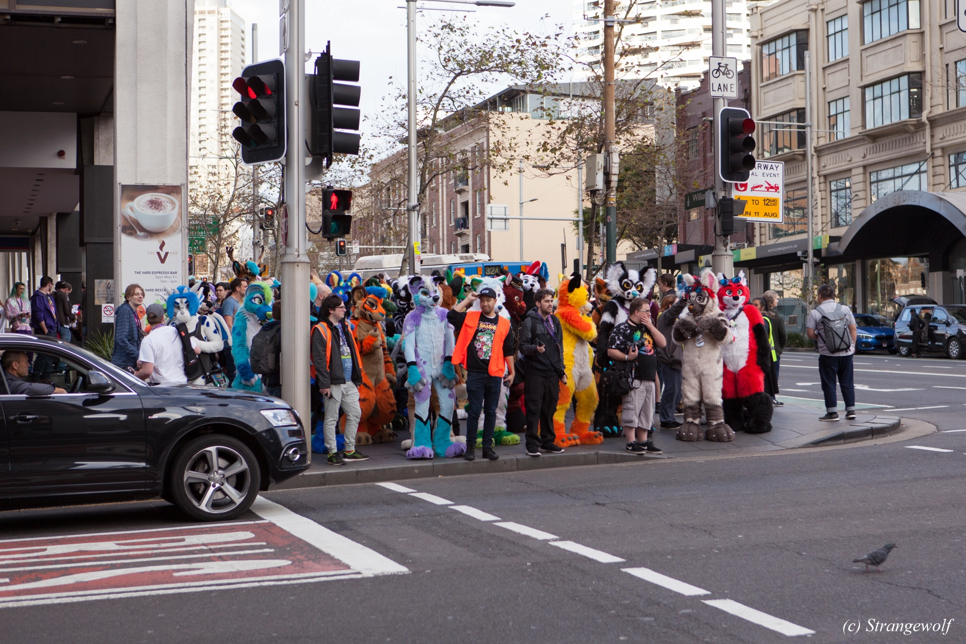 full image IMG_4588-lr19t.jpg