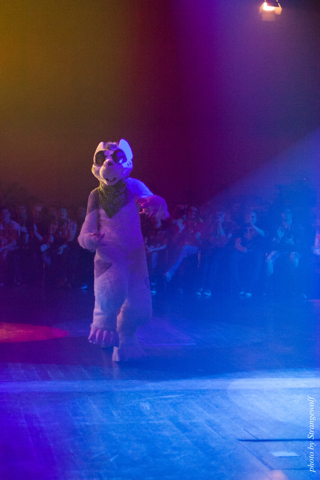full image IMG_2414-lr16t.jpg