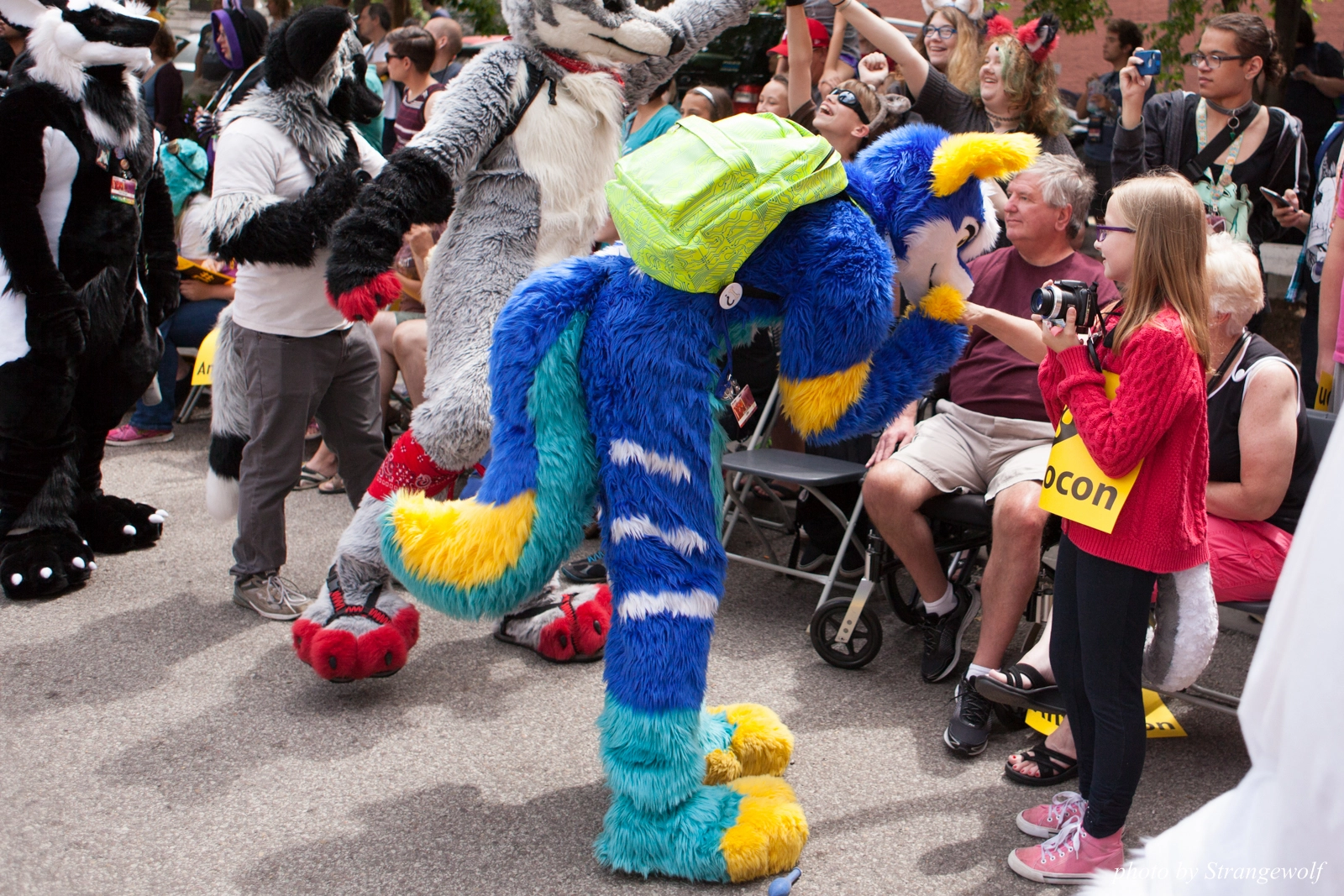 full image IMG_8070-lr16t.jpg