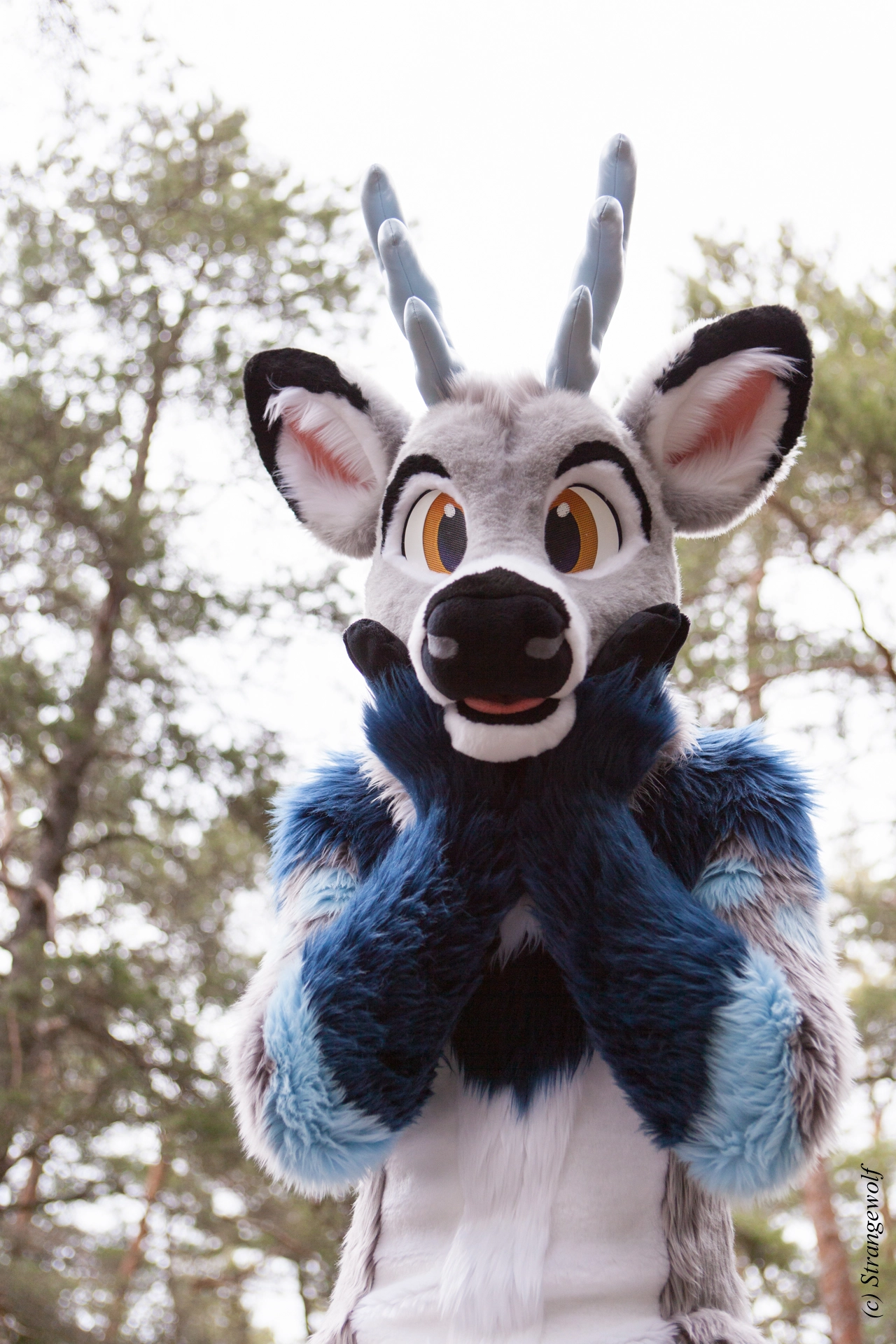 full image IMG_8610-lr19t.jpg