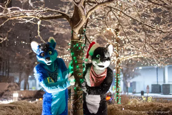 IMG_0853-lr16t.jpg of MFF/MFF2016/