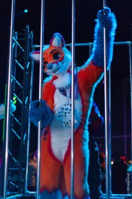 IMG_9271-lr19t.jpg of NFC/NFC2020/