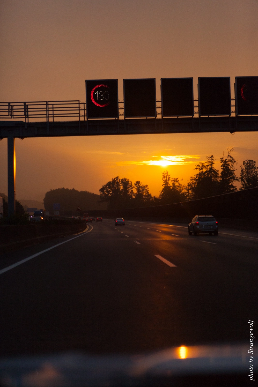full image IMG_0460-lr16t.jpg