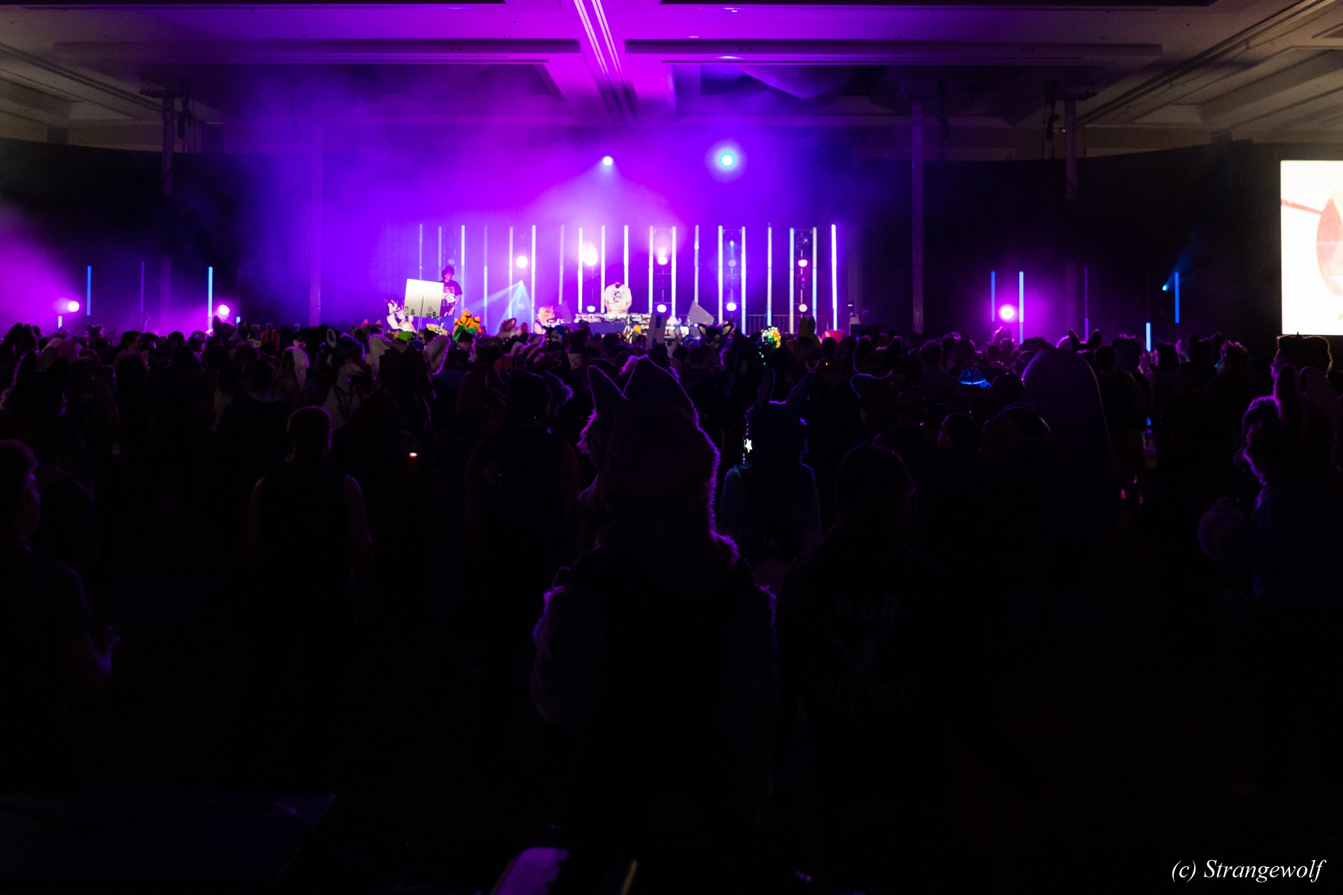 full image 1R3A4945-lr19t.jpg