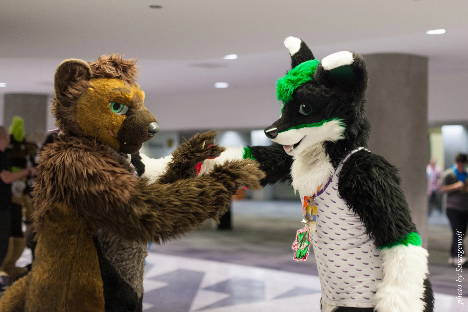 full image IMG_1156-lr16t.jpg