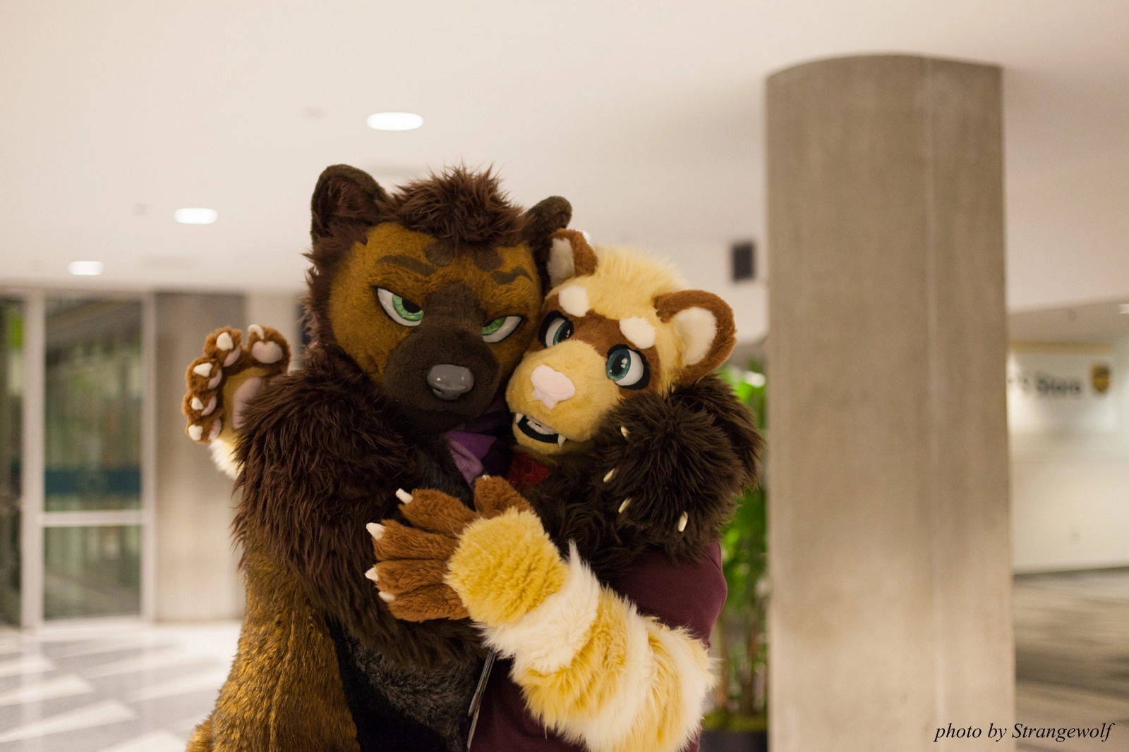 full image IMG_1105-lr16t.jpg