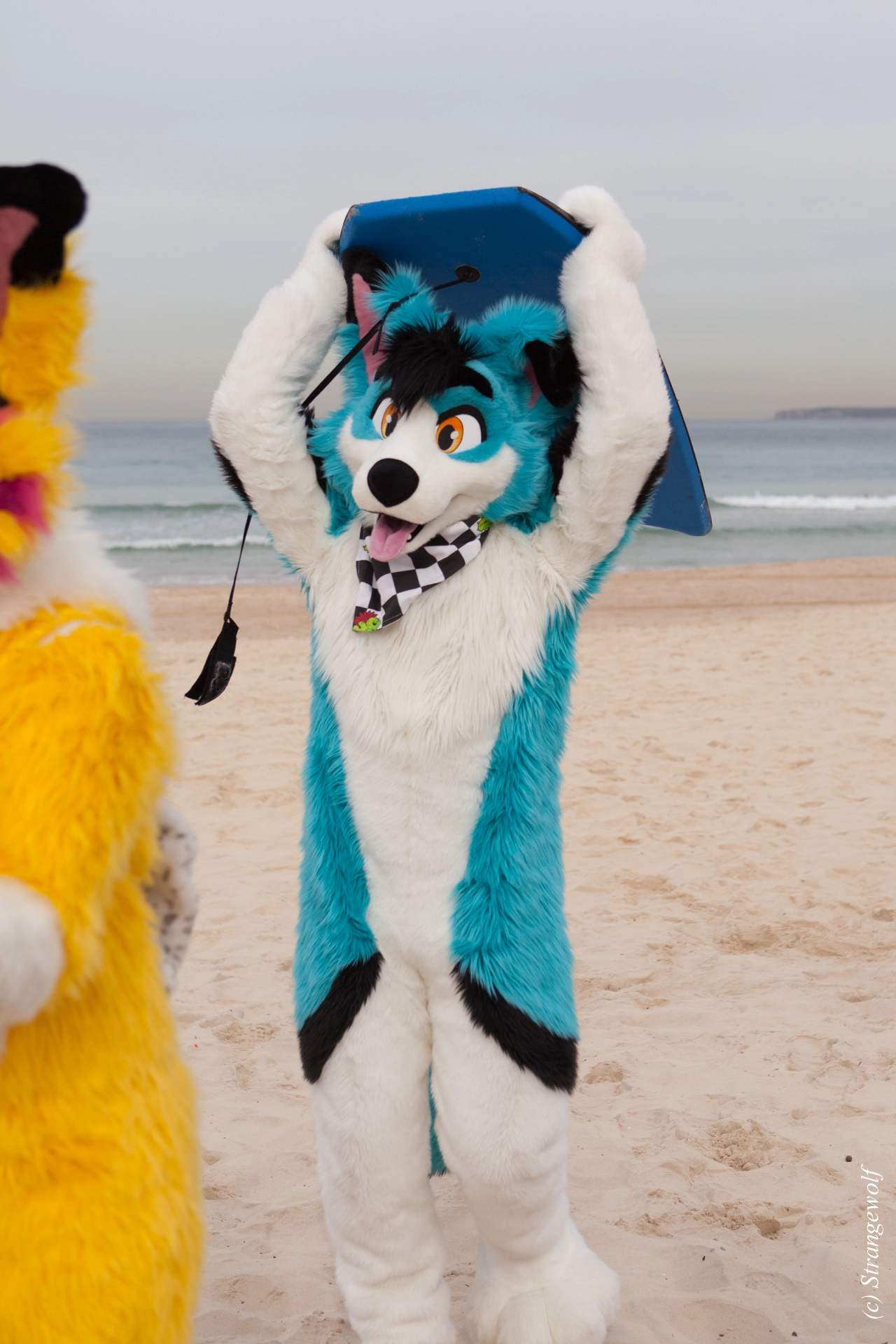 full image IMG_4482-lr19t.jpg