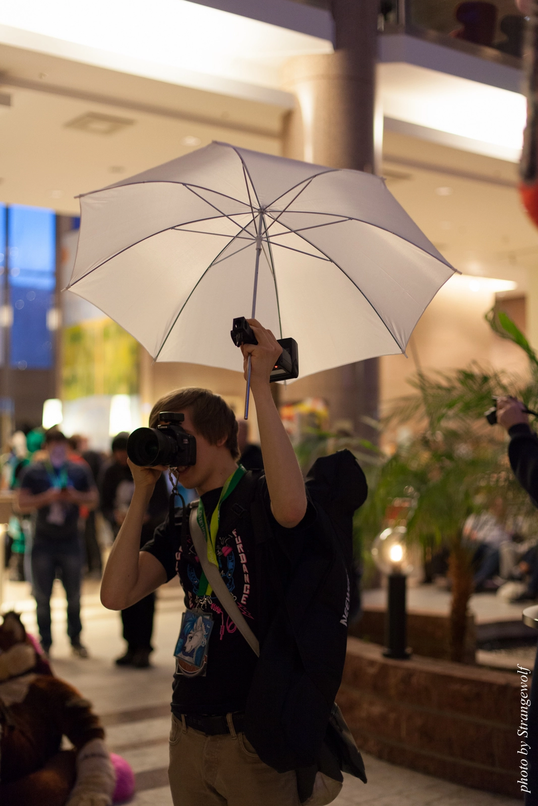 full image IMG_2176-lr16t.jpg