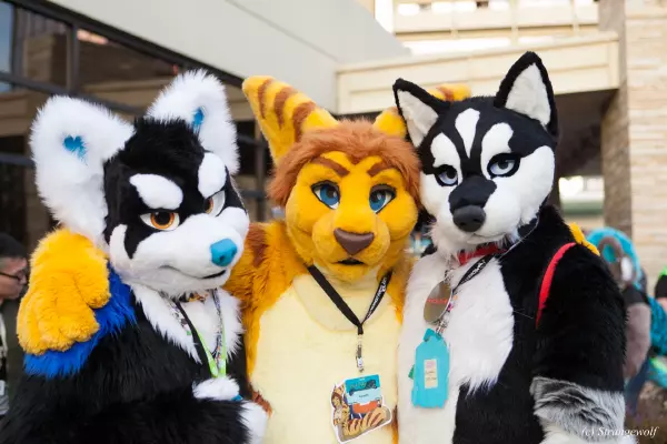 IMG_8405-lr19t.jpg of MFF/MFF2017/