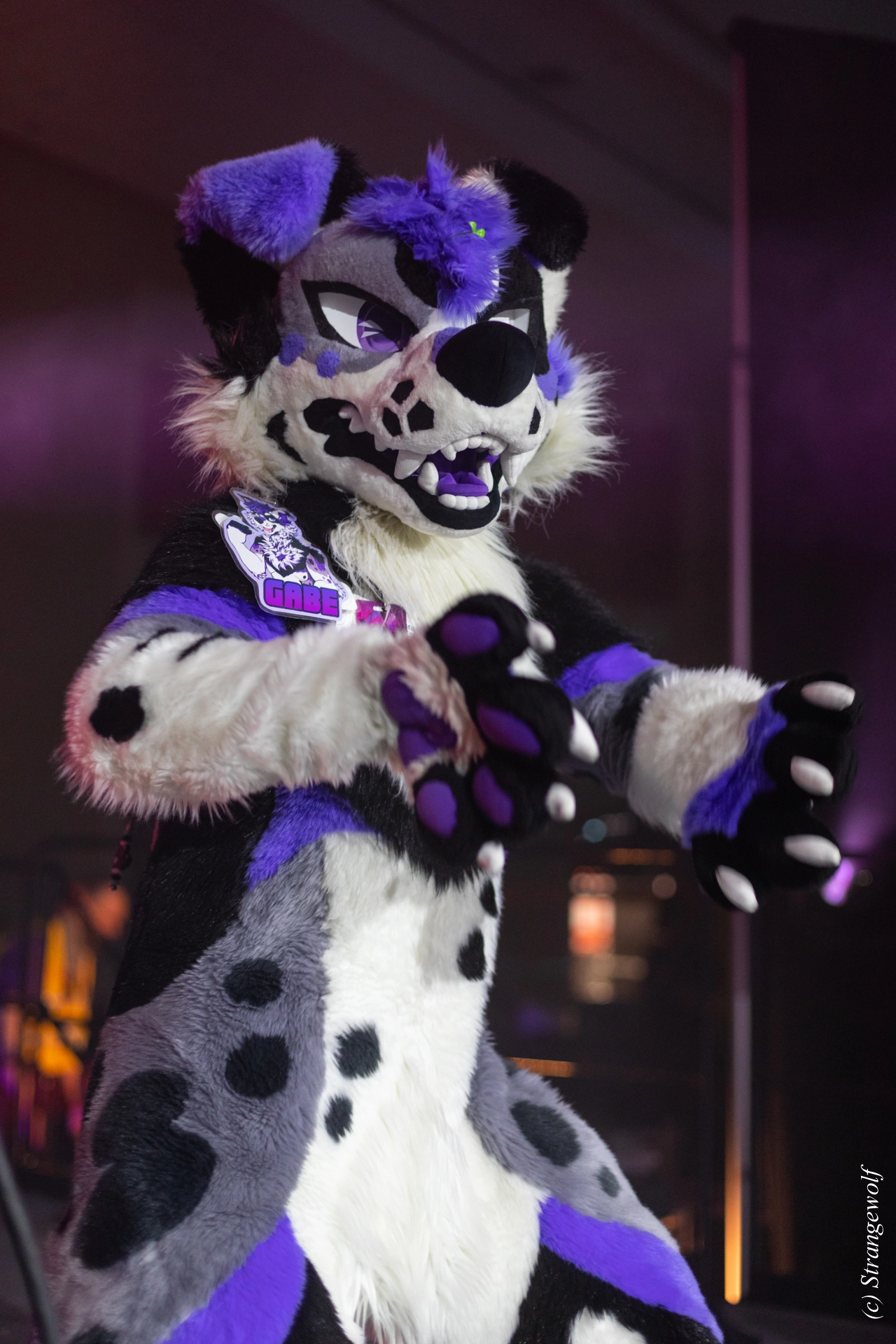 full image 1R3A0748-lr19t.jpg