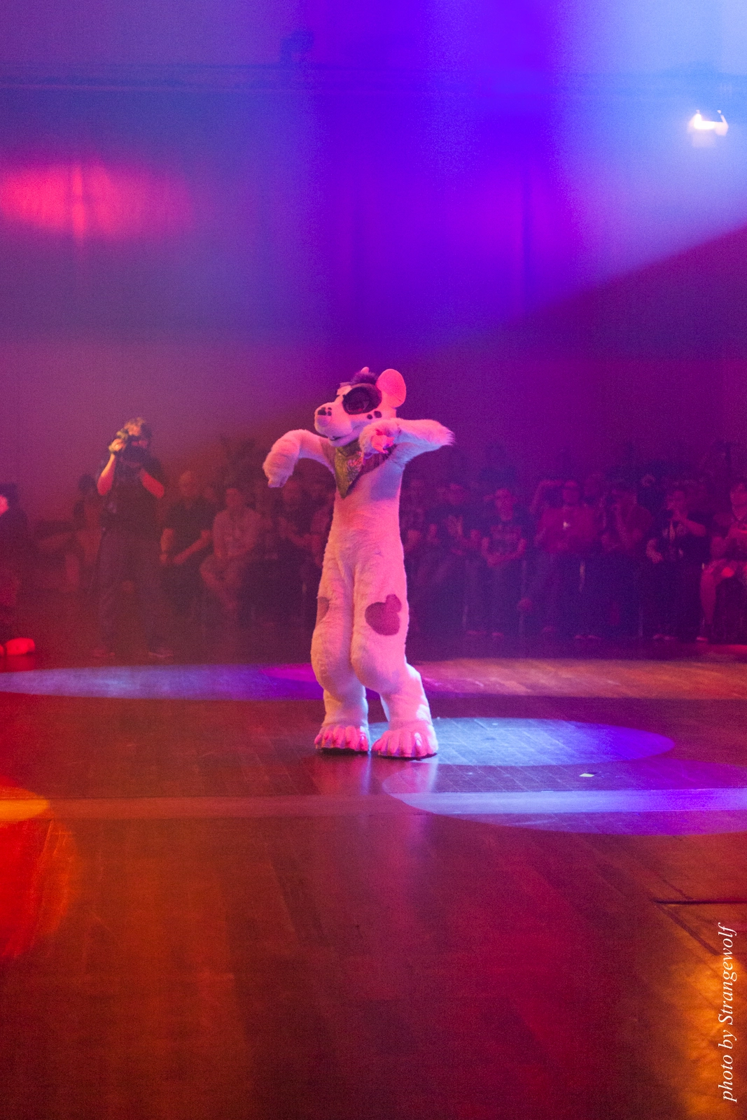 full image IMG_2410-lr16t.jpg