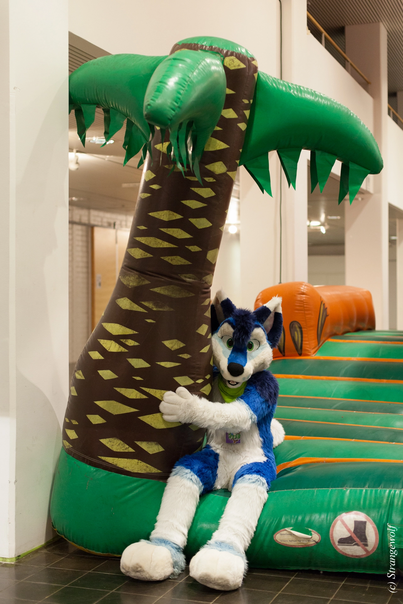 full image IMG_9027-lr19t.jpg