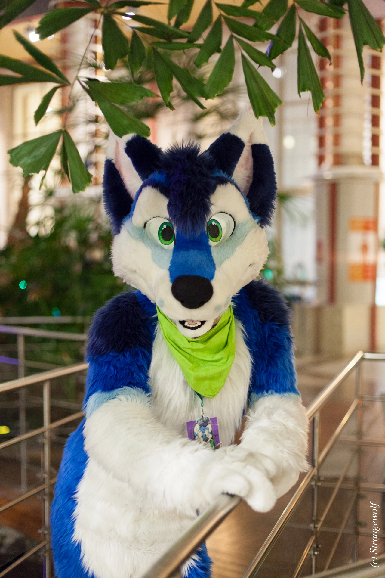 full image IMG_9015-lr19t.jpg