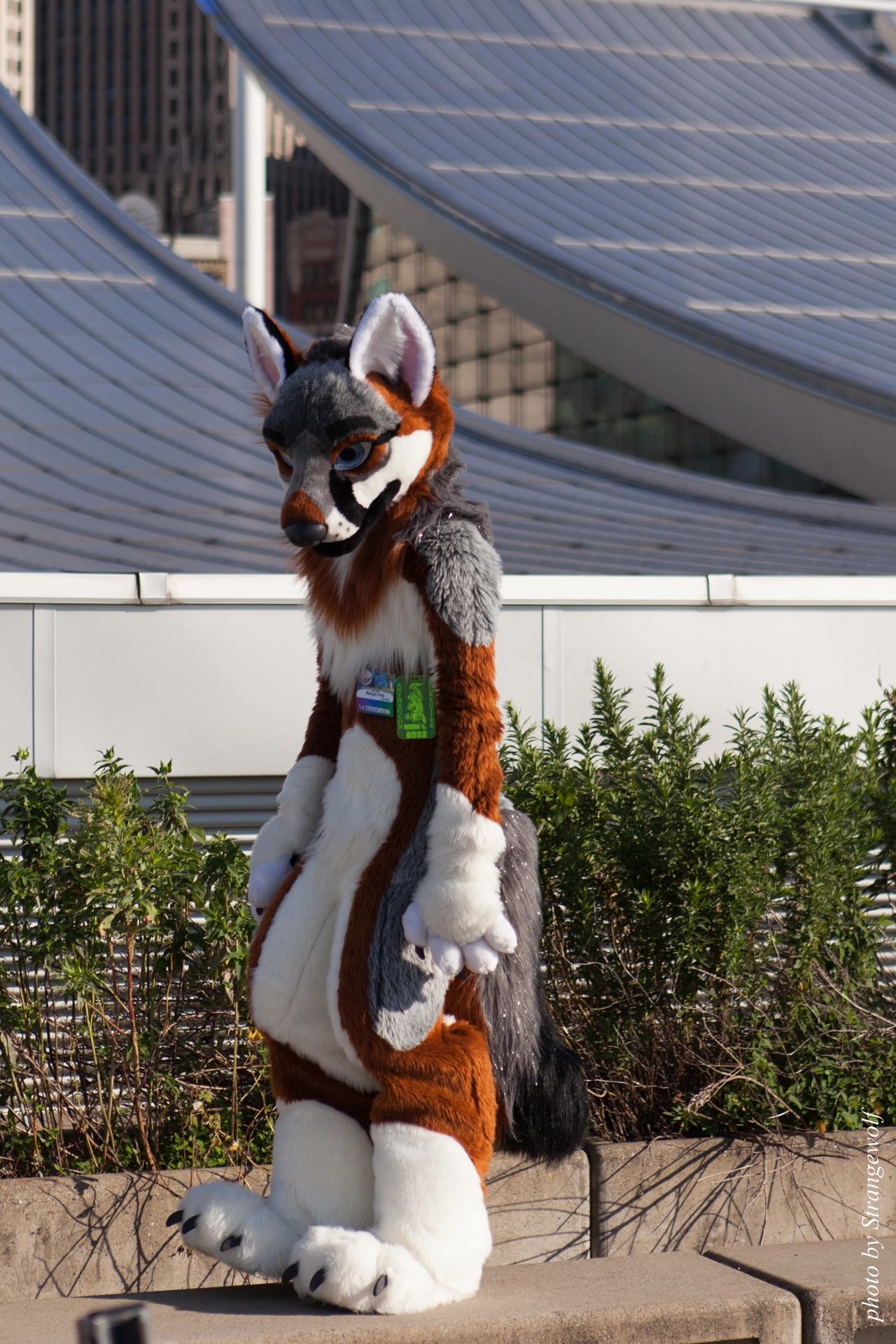 full image IMG_5215-lr19t.jpg