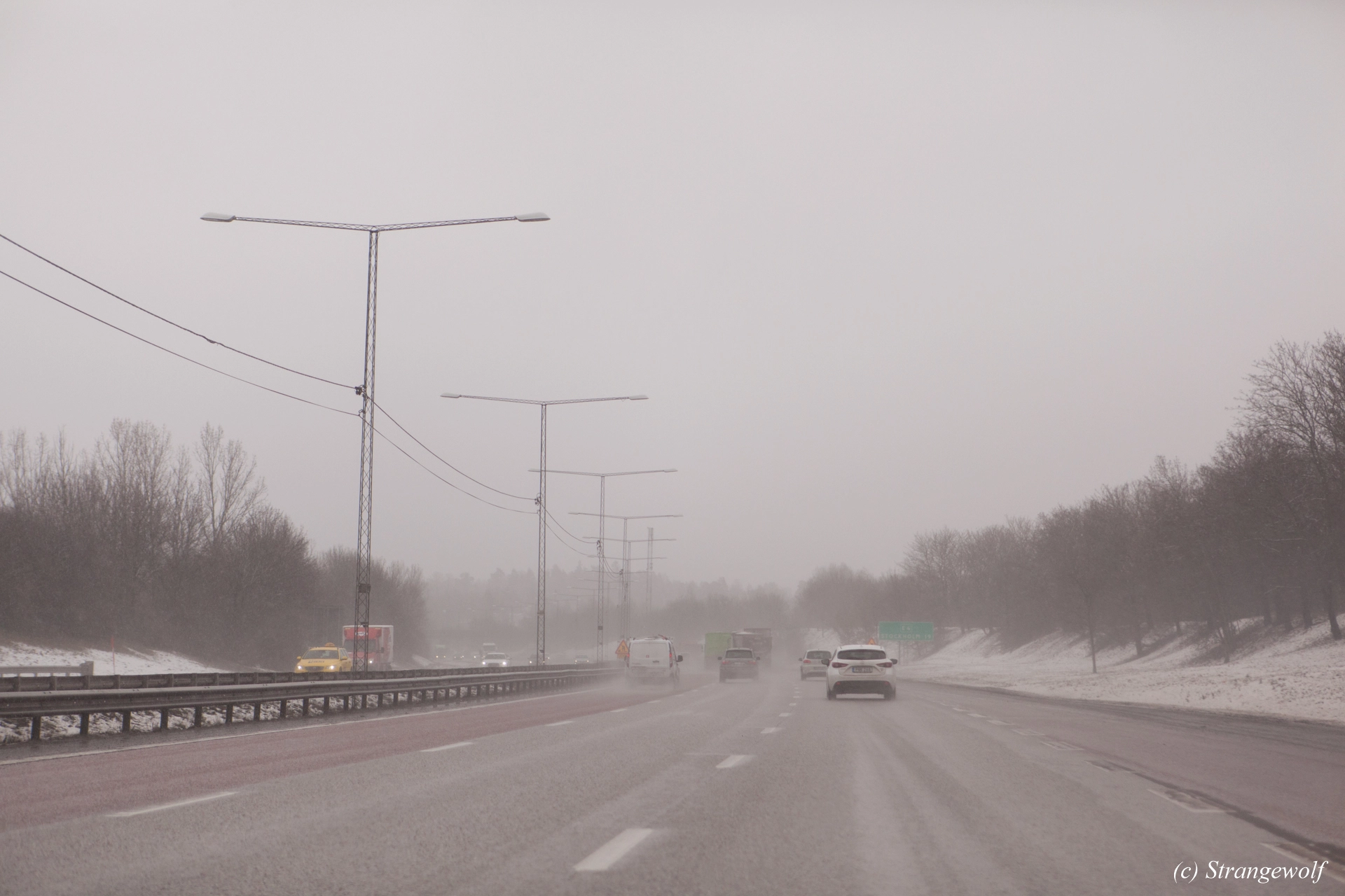 full image IMG_9972-lr19t.jpg