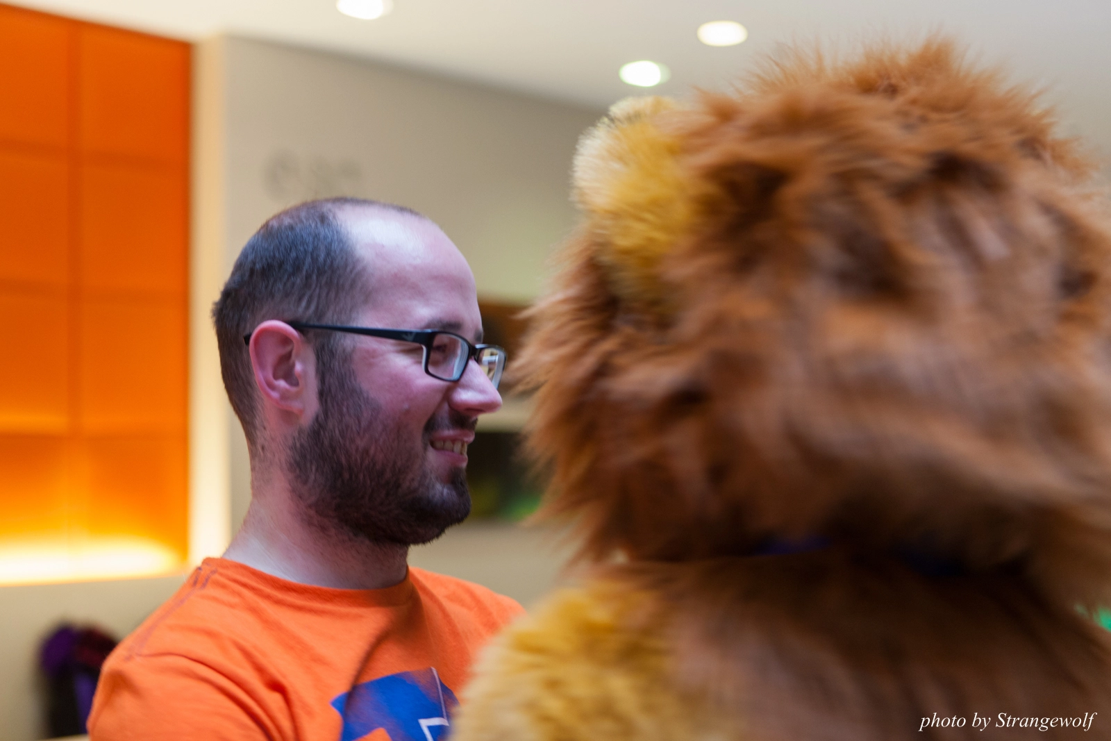 full image IMG_0675-lr16t.jpg